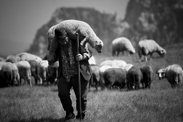 The Shepherd's Prayer